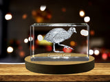 Common Coot 3D Engraved Crystal 3D Engraved Crystal Keepsake/Gift/Decor/Collectible/Souvenir A&B Crystal Collection