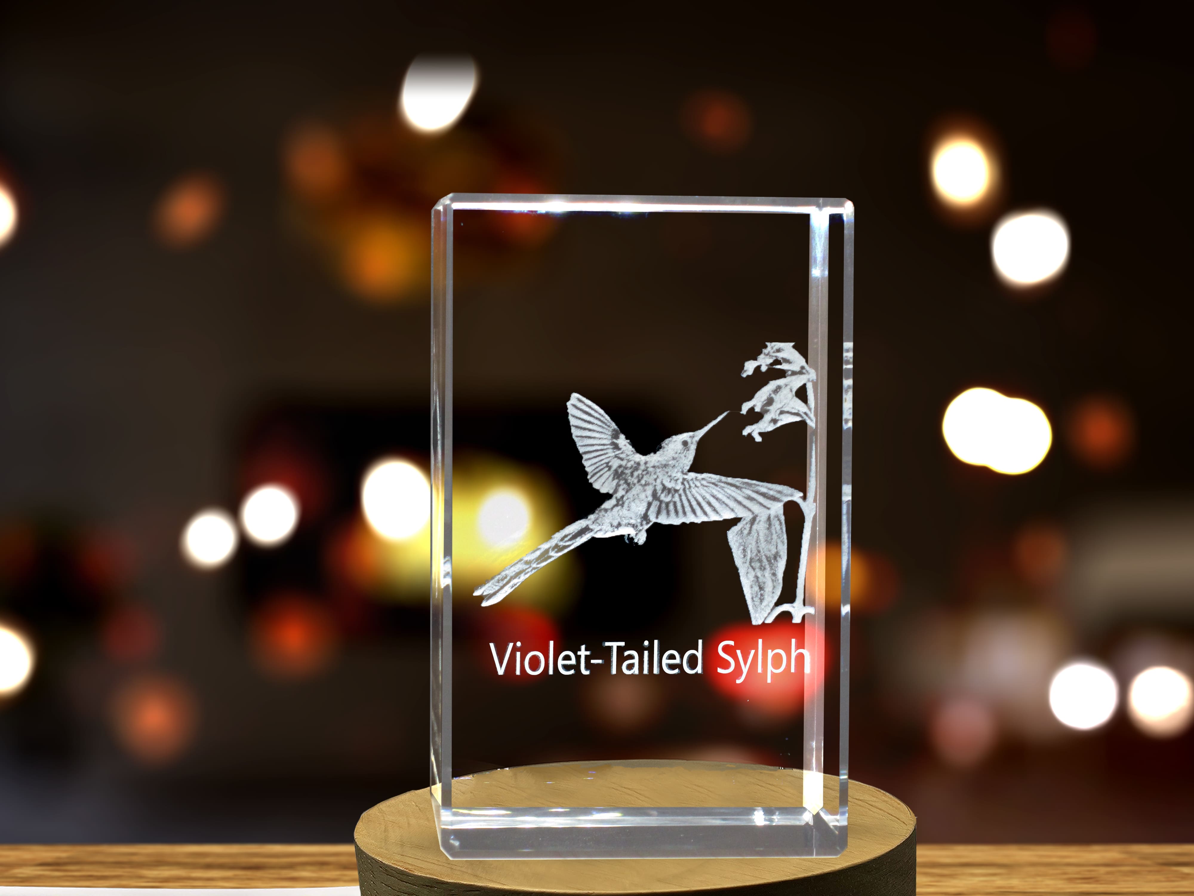 Violet-Tailed Sylph 3D Engraved Crystal 3D Engraved Crystal Keepsake/Gift/Decor/Collectible/Souvenir A&B Crystal Collection