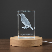 Scaly-Breasted Munia 3D Engraved Crystal Keepsake Recognition Award with LED Base Light