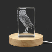 3D Engraved Crystal Burrowing Owl Trophy — Made in Canada
