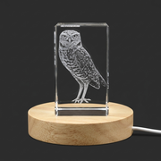 Crystal Burrowing Owl Trophy Award Recognition - 3D Engraved Art with LED Base Light