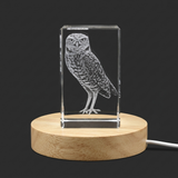 Crystal Burrowing Owl Trophy Award Recognition - 3D Engraved Art with LED Base Light - Custom Award From A&B Crystal Collection