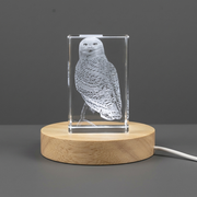 Snowy Owl Crystal Trophy Award With LED Base - Elegant Recognition Gift for Bird Lovers