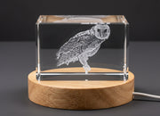 Trophée sculpture en cristal gravé en 3D de Chouette masquée australienne — Fabriqué au Canada