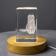 Scottish Fold Cat 3D Engraved Crystal Trophy Award Keepsake With LED Base Recognition