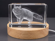 Birman Cat Engraved 3D Engraved Crystal Trophy Award — Made in Canada
