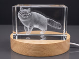 Birman cat — 3D laser-engraved crystal keepsake, Made in Canada