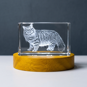 Siberian Cat 3D Engraved Crystal Trophy Award With LED Base - Recognition Gift for Cat Lovers