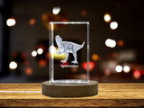 Iguanodon Dinosaur 3D Engraved Crystal 3D Engraved Crystal Keepsake/Gift/Decor/Collectible/Souvenir
