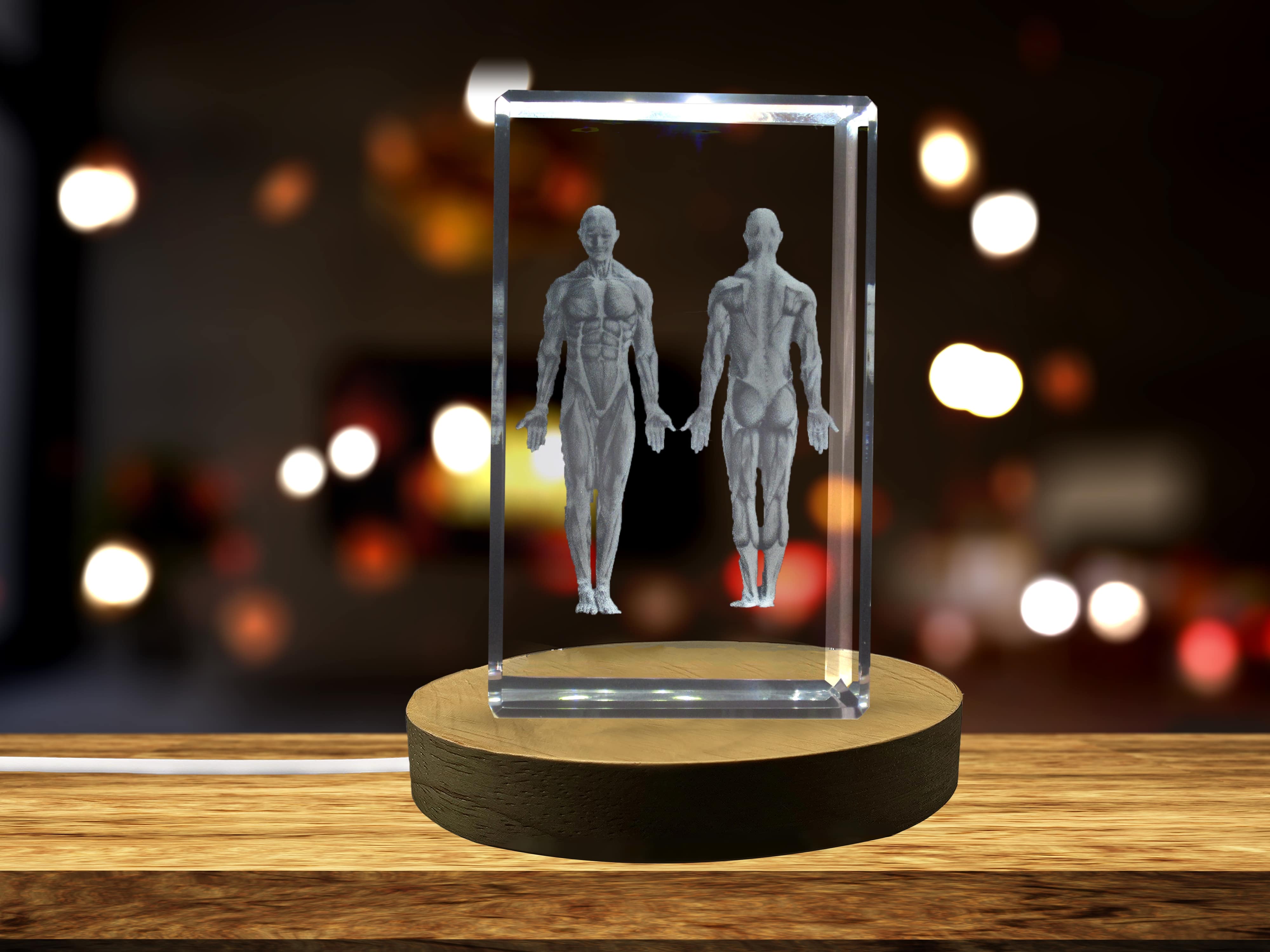 Muscles Art | 3D Engraved Crystal Keepsake | Doctor Gift A&B Crystal Collection
