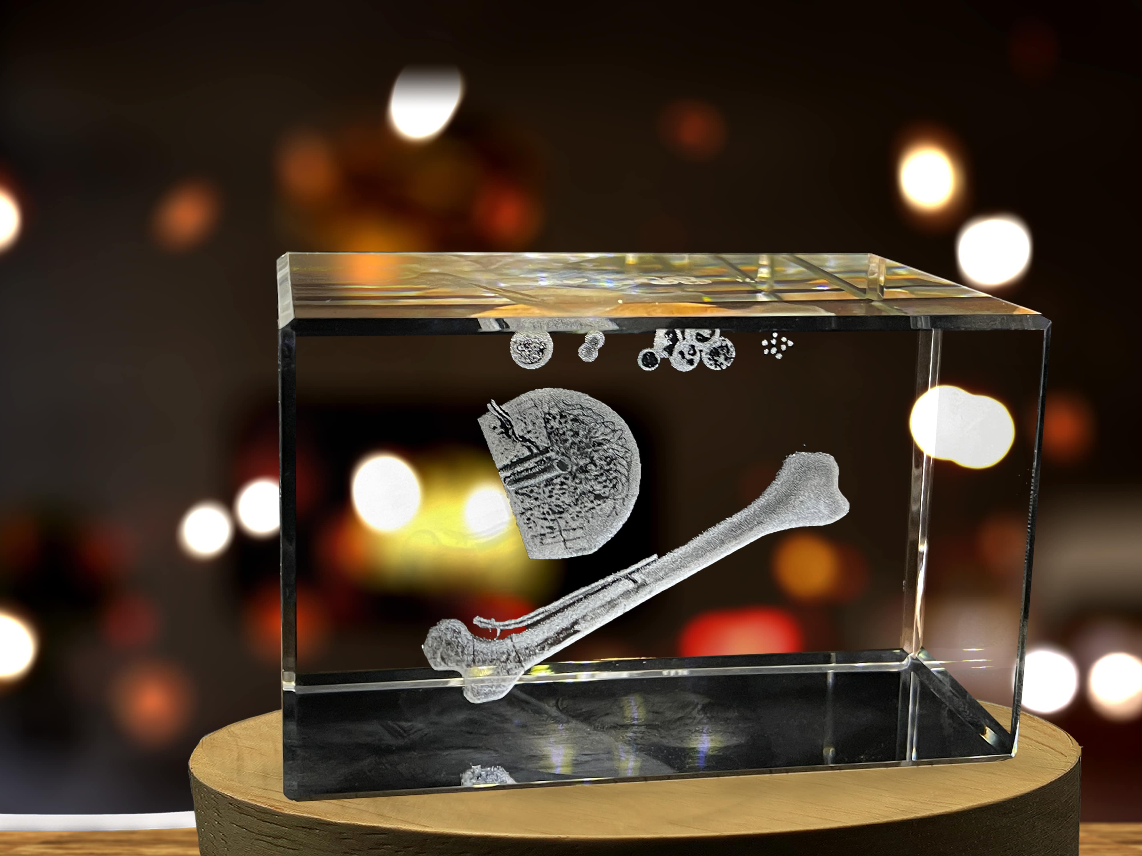 Bone Marrow Art | 3D Engraved Crystal Keepsake | Doctor Gift A&B Crystal Collection