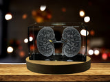 Kidneys | 3D Engraved Crystal Keepsake | Doctor Gift