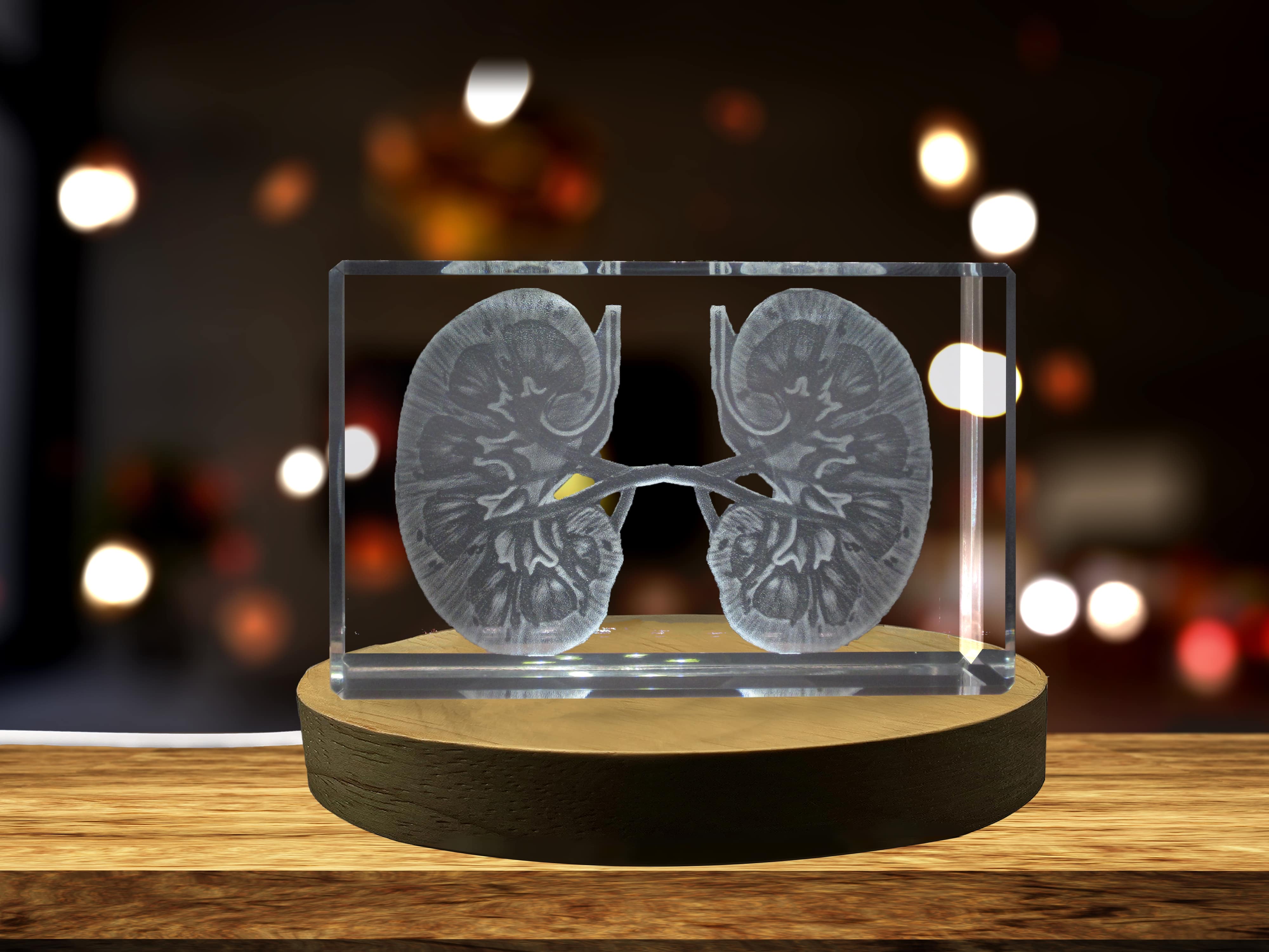Kidneys | 3D Engraved Crystal Keepsake | Doctor Gift A&B Crystal Collection