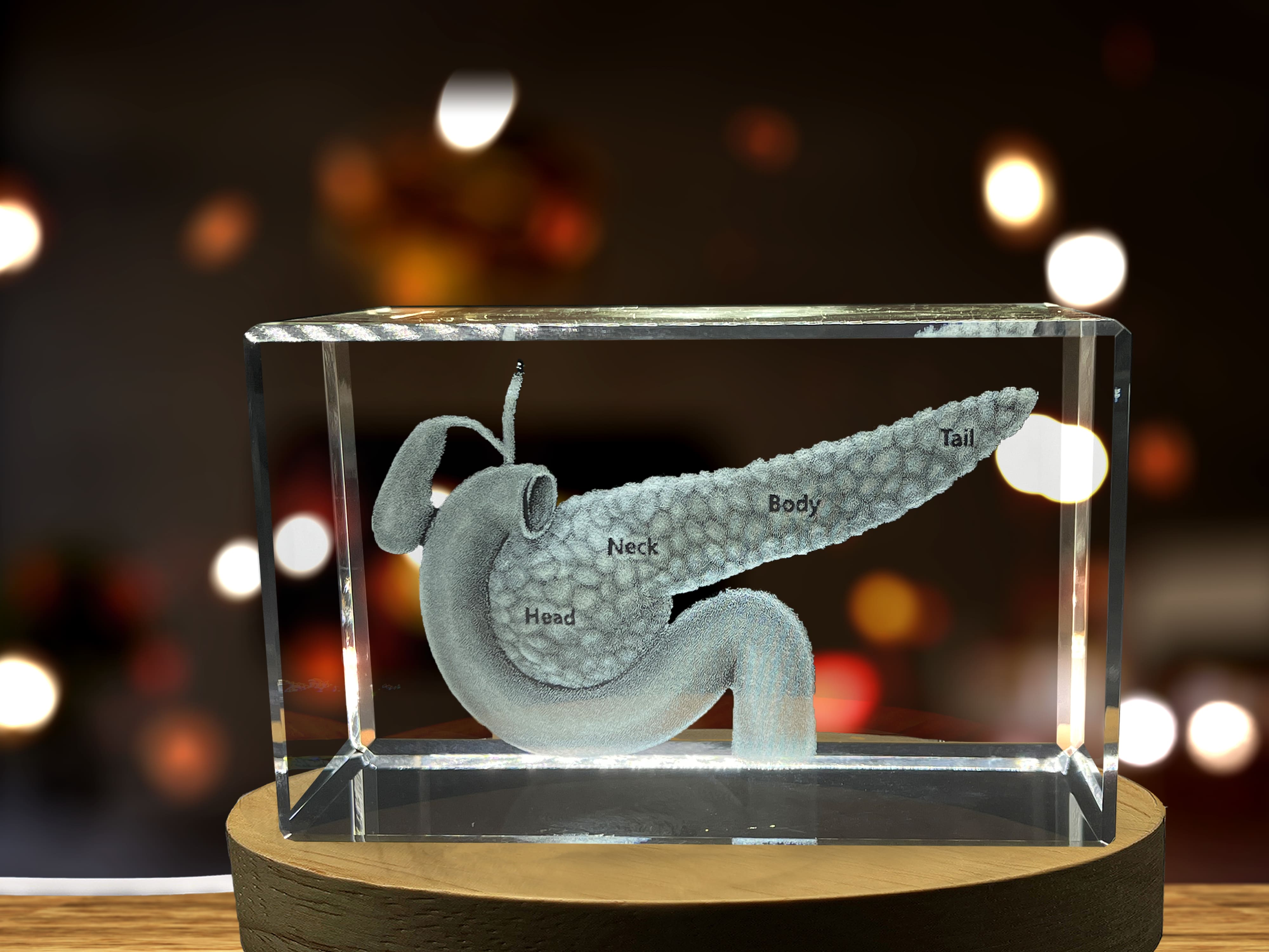 Pancreas Art | 3D Engraved Crystal Keepsake | Doctor Gift A&B Crystal Collection