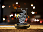 Intestine 3D Engraved Crystal Keepsake | Gift For Gastroenterologist | Doctor Gift