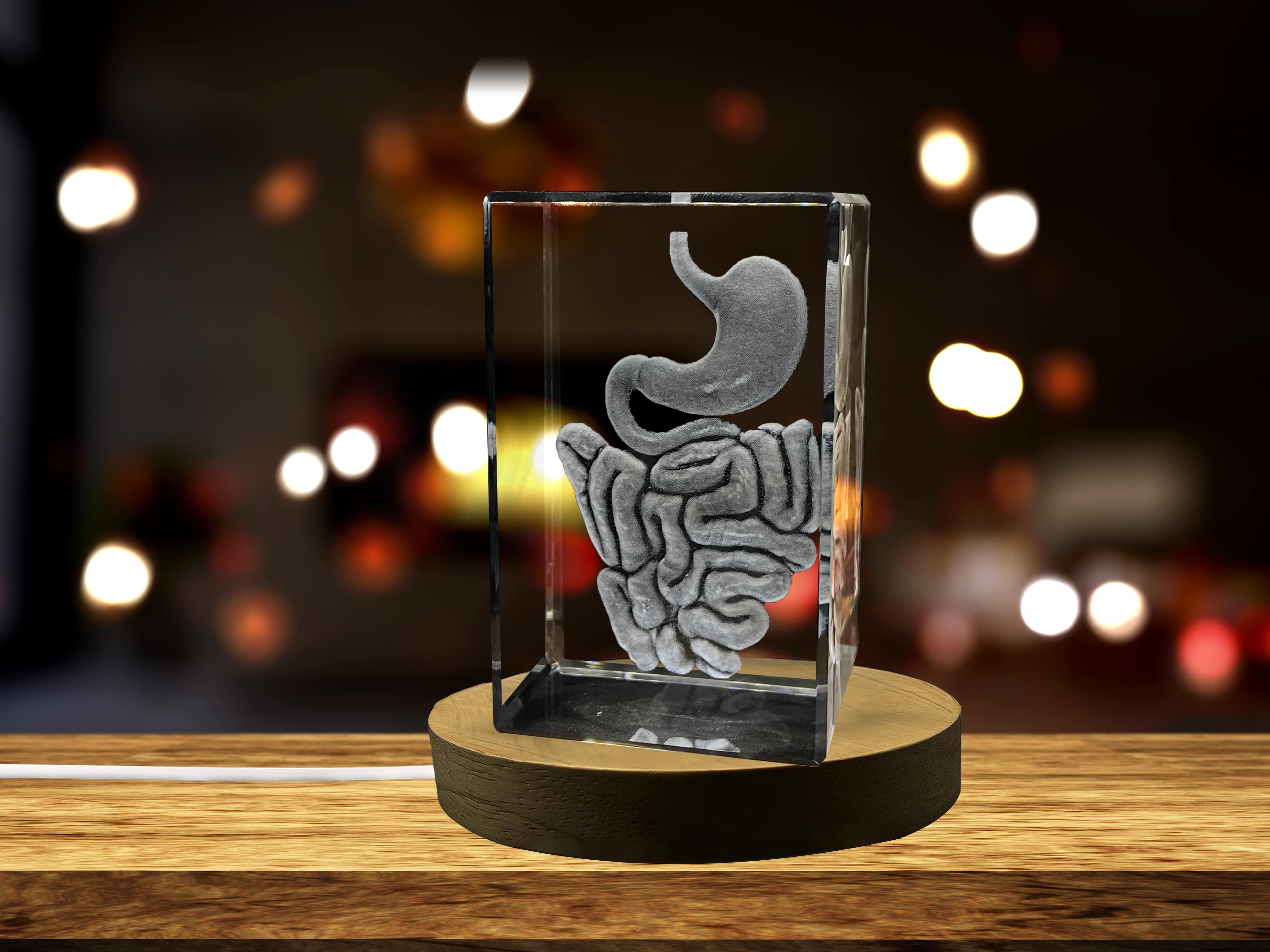 Intestine 3D Engraved Crystal Keepsake | Gift For Gastroenterologist | Doctor Gift A&B Crystal Collection