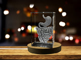 Intestine 3D Engraved Crystal Keepsake | Gift For Gastroenterologist | Doctor Gift A&B Crystal Collection