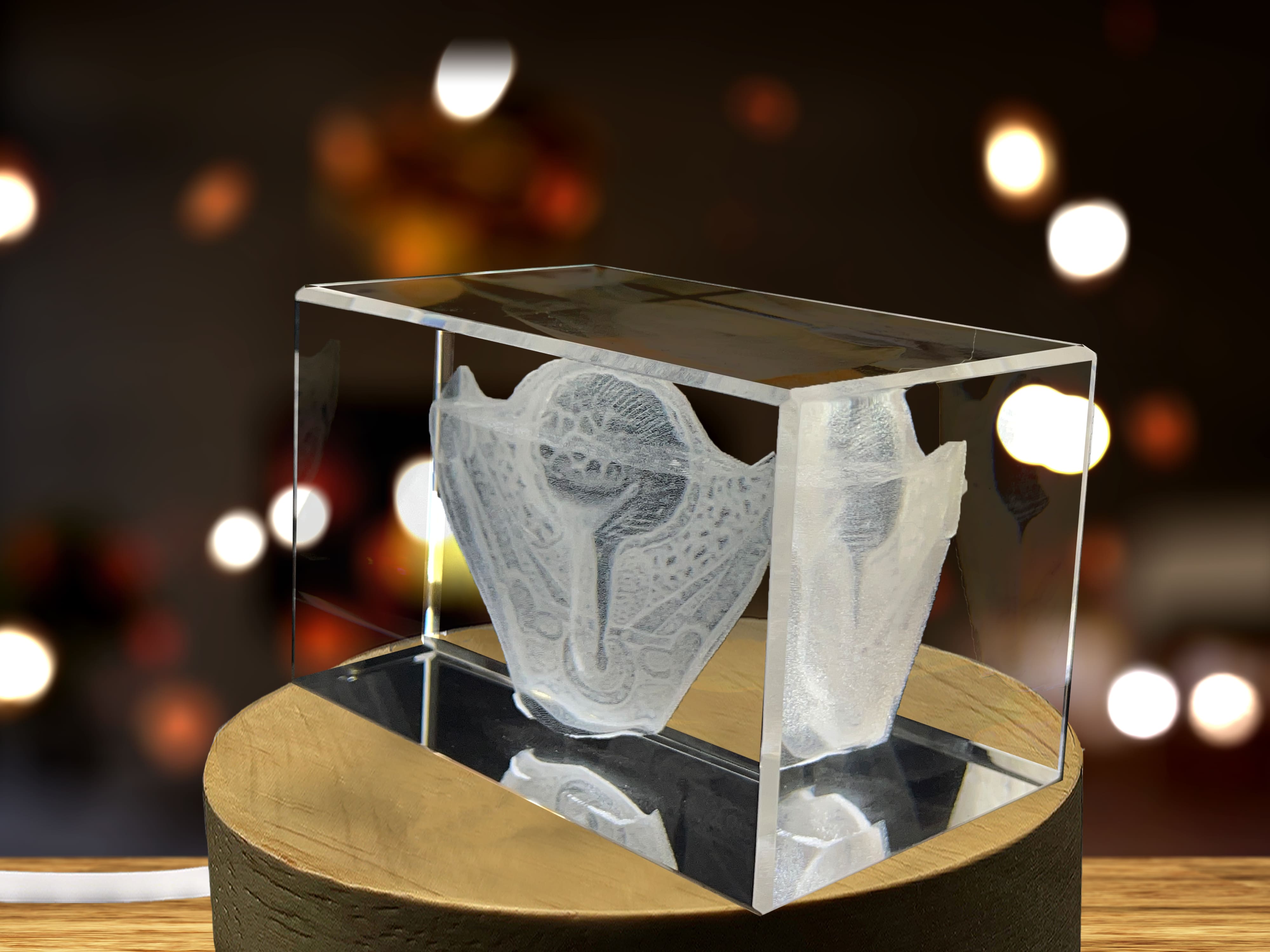 Urinary bladder | 3D Engraved Crystal Keepsake | Gift For Urologists | Doctor Gift A&B Crystal Collection