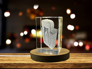 Tooth Are| 3D Engraved Crystal