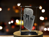 Tooth Are - 3D Engraved Crystal Tooth Keepsake - Gift For Dentist - Doctor Gift A&B Crystal Collection