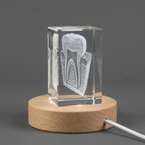 3D Crystal Tooth Anatomy Model, Engraved Dental Gift for Dentist, Hygienist Graduation - Custom Award From A&B Crystal Collection