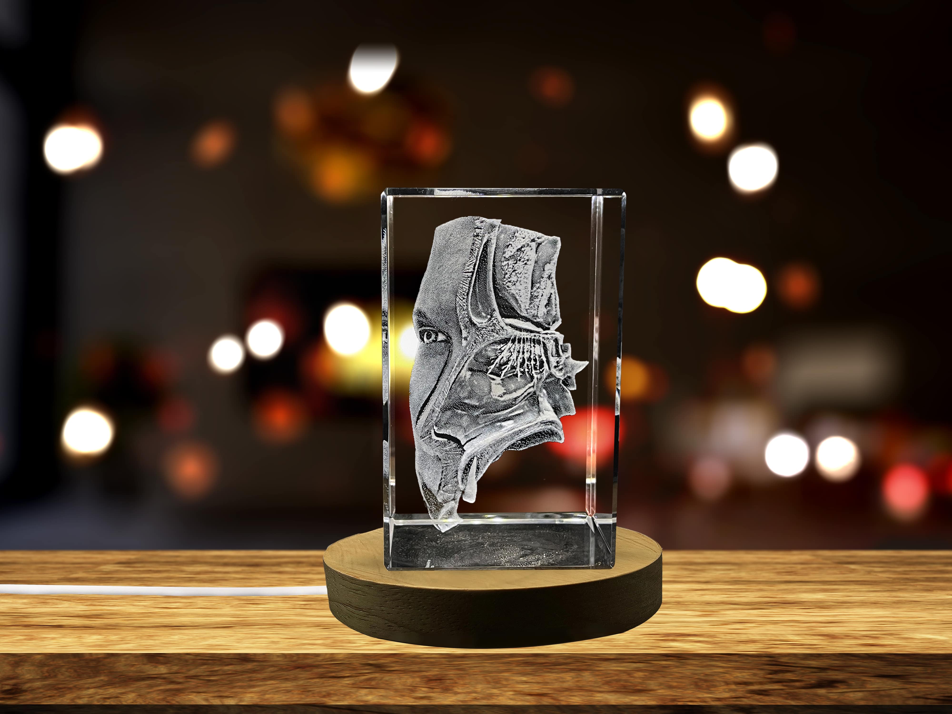 Nose Art | 3D Engraved Crystal Keepsake | Doctor Gift A&B Crystal Collection