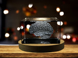 3D Engraved Crystal Brain Art - Made in Canada - Unique Home Decorative Piece