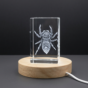 3D Engraved Crystal Jumping Spider Trophy Award - Exquisite Artisan Decor with LED Base