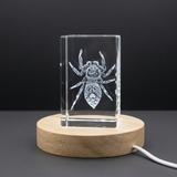 3D Engraved Crystal Jumping Spider Trophy Award - Exquisite Artisan Decor with LED Base - Custom Award From A&B Crystal Collection