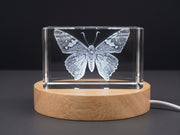 Silver Spotted Skipper Butterfly 3D Engraved Crystal Trophy Award — Made in Canada