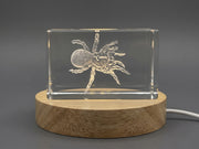 Crystal Trophy Award - 3D Engraved Trapdoor Spider Sculpture Recognition | Unique Nature Art Decor