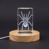 Goliath Birdeater Spider Crystal Recognition Award | 3D Engraved Accent with LED Base