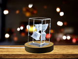 Australian Open Crystal Trophy Keepsake Fun Sports Gift for Tennis Fans A&B Crystal Collection