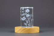 3D Crystal Cosmos Flower with LED Base, Laser Engraved Botanical Gift