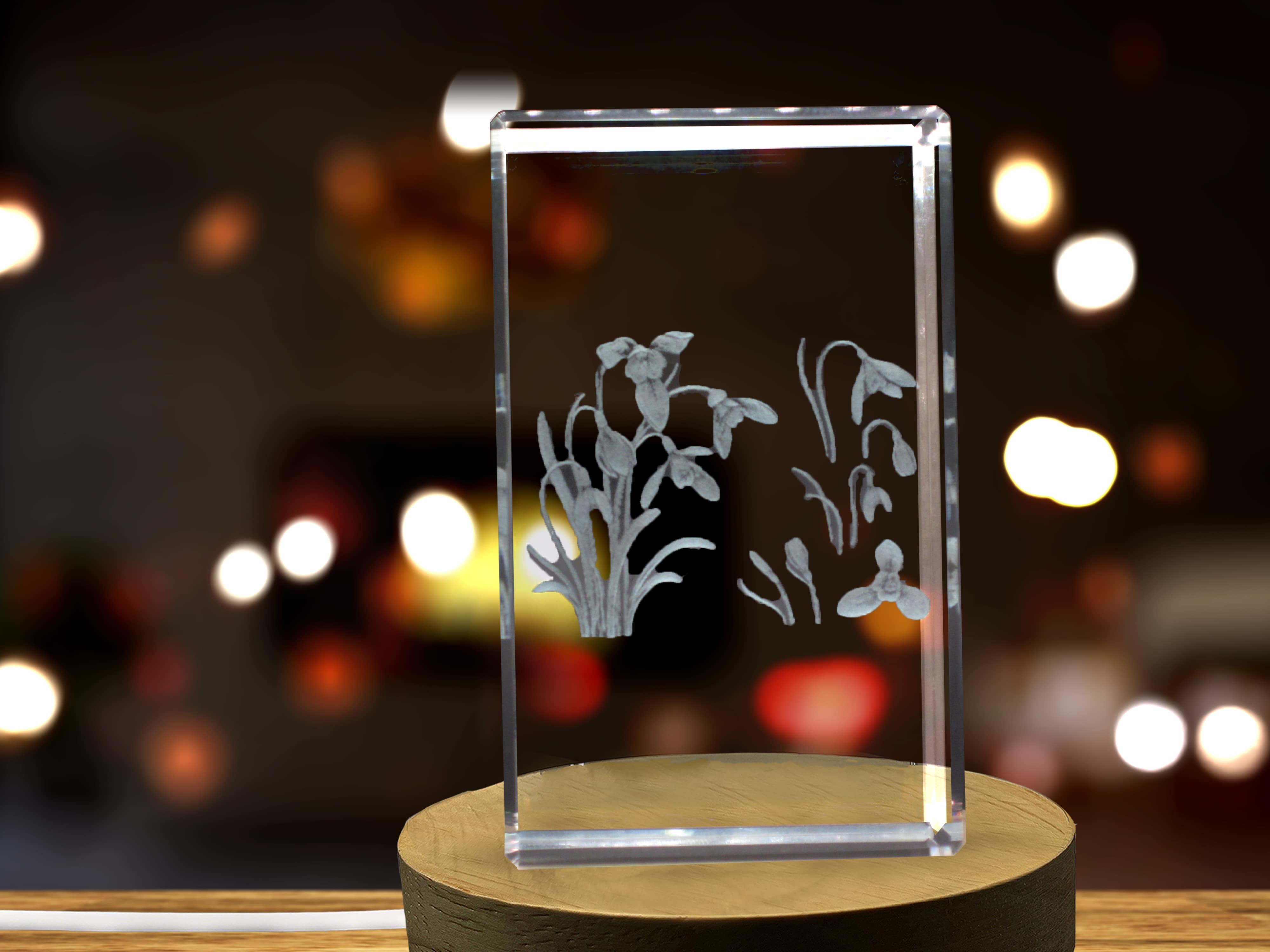 Snowdrop Flower 3D Engraved Crystal 3D Engraved Crystal Keepsake/Gift/Decor/Collectible/Souvenir A&B Crystal Collection