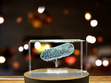 Recognition Vintage Microphone Trophy Award - Exquisite 3D Engraved Crystal Gift with LED Base - Custom Award From A&B Crystal Collection