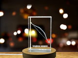 3D Engraved Crystal Longbow Recognition - Exquisite Gift for Archery Enthusiasts with LED Base - Custom Award From A&B Crystal Collection