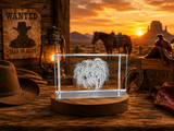 Desert Spirit Recognition: 3D Engraved Crystal Tumbleweed Art with Free LED Base