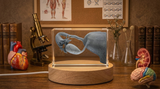 3D Engraved Crystal Fallopian Tubes Trophy Recognition Award Gift for Doctors - Custom Award From A&B Crystal Collection