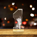 Best Employee of the Month 3D Engraved Crystal Gift - Number 1 Award AB Crystal Collection
