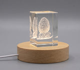 Swedish Short Snout Egg 3D Engraved Crystal Gift
