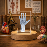 Hand Art Elegant Handcrafted 3D Engraved Crystal Trophy Award Keepsake Gift with LED Base Light Recognition