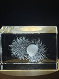 Rambutan Fruit 3D Engraved Crystal Decor Gift