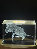 3D Sweat Bee Sculpted in Crystal | Unique Gift for Bug Lovers