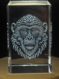 Monart 3D Engraved Crystal Gift - Elegant Keepsake