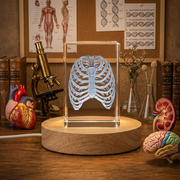 3D Engraved Crystal Ribs Anatomy Trophy Award - Recognition Gift for Medical Enthusiasts