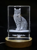 Pet Personalized 3D Crystal - Customizable Sizes & Shapes Rectangle Medium With LED Base A&B Crystal Collection