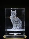Pet Personalized 3D Crystal - Customizable Sizes & Shapes Rectangle Small Without LED Base A&B Crystal Collection