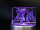 Pet Personalized 3D Crystal - Customizable Sizes & Shapes Rectangle Medium With multicolor rotating led base A&B Crystal Collection