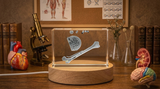Bone Marrow Art Recognition Trophy | Unique 3D Engraved Crystal Keepsake for Medical Professionals
